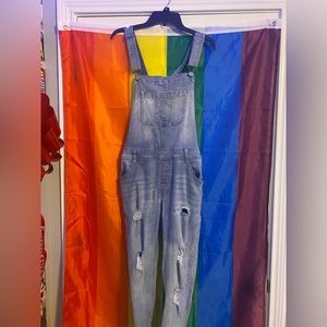 Blue Denim Wallflower Overalls SIZE X-LARGE